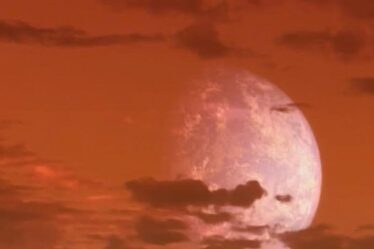 The Hunt for Planet B movie poster